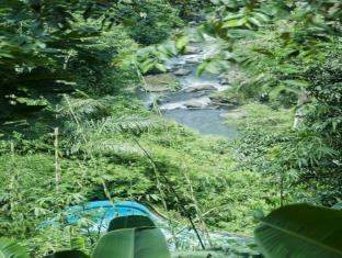 Bali Indonesia holiday hotel