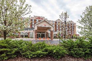 Chicago (IL) United States holiday hotel