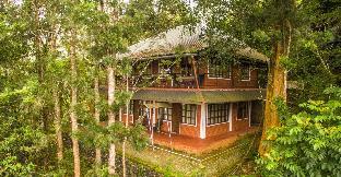 Munnar India holiday hotel