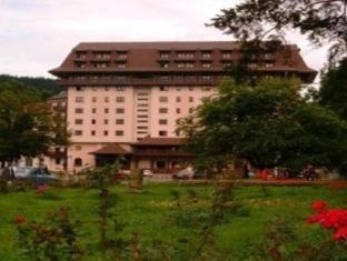 Gura Humorului Romania holiday hotel