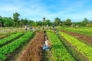 Khao Yai Thailand holiday hotel